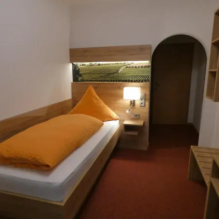 Zum Engel Guest house 3*